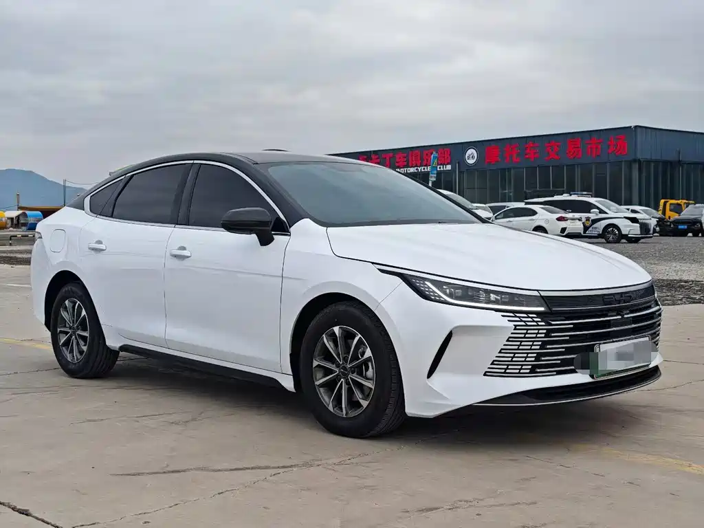BYD Destroyer 05 — миниатюра 3