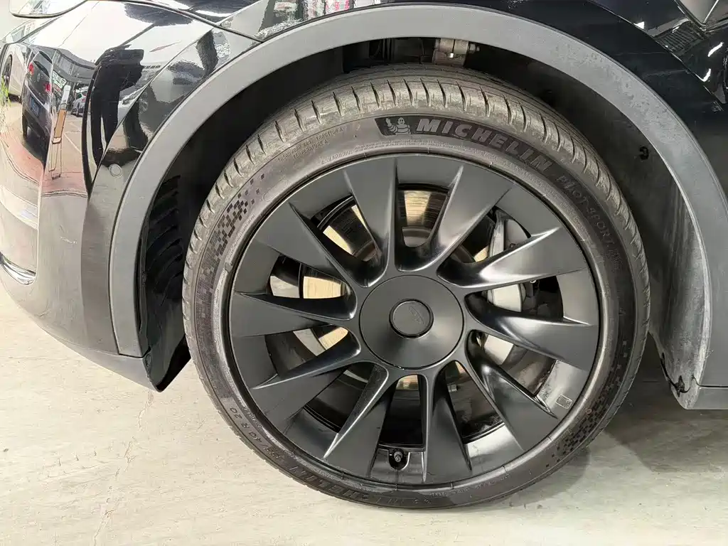 Tesla Model Y — миниатюра 4