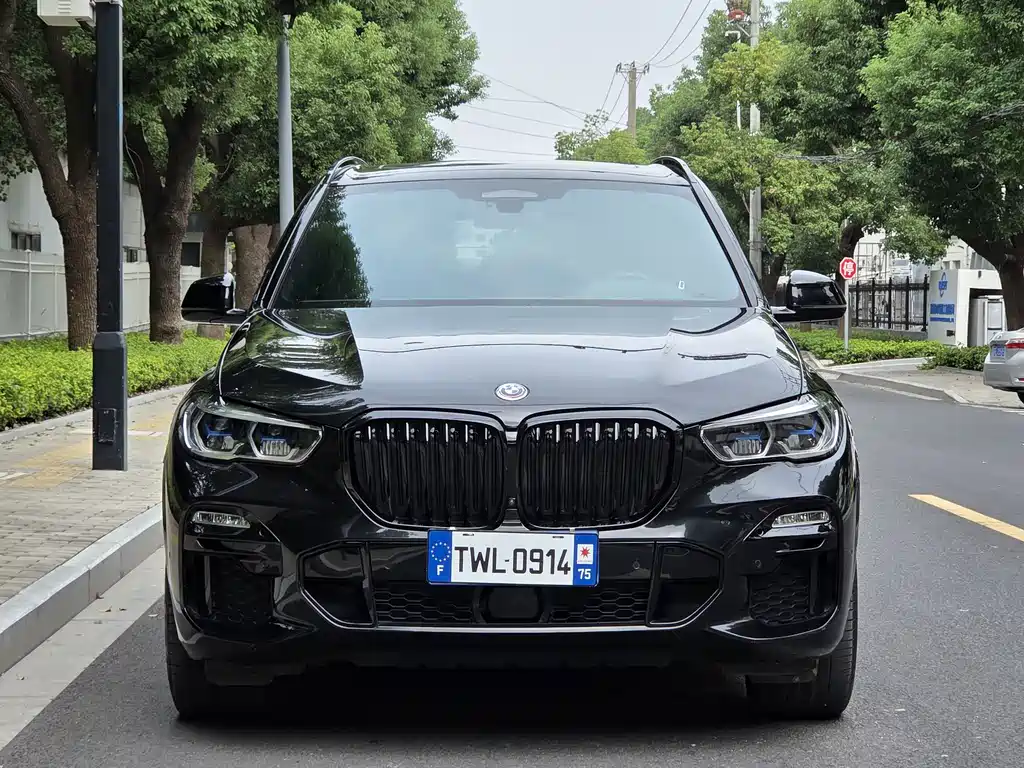 BMW X5 (Import) — миниатюра 2