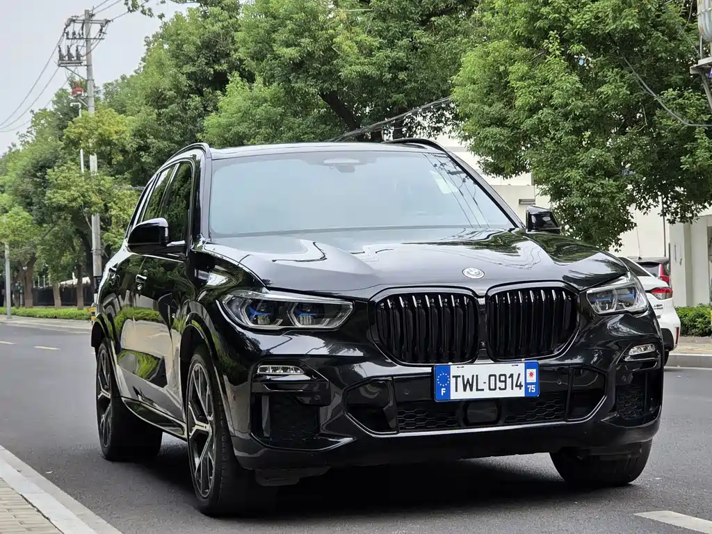 BMW X5 (Import) — миниатюра 3
