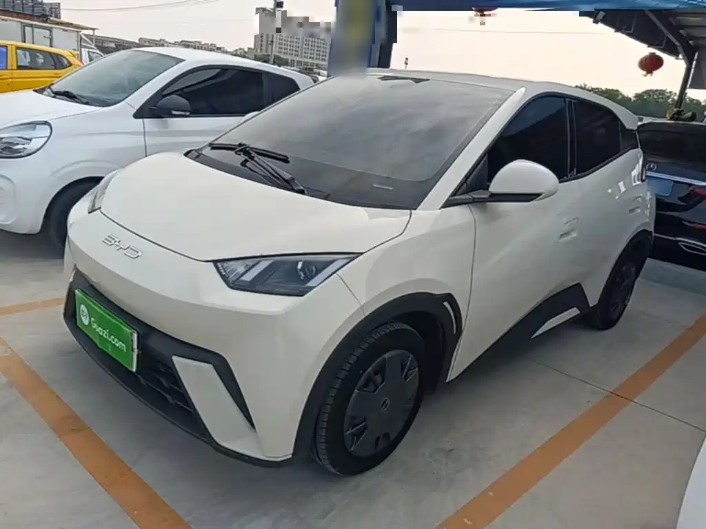 BYD Seagull