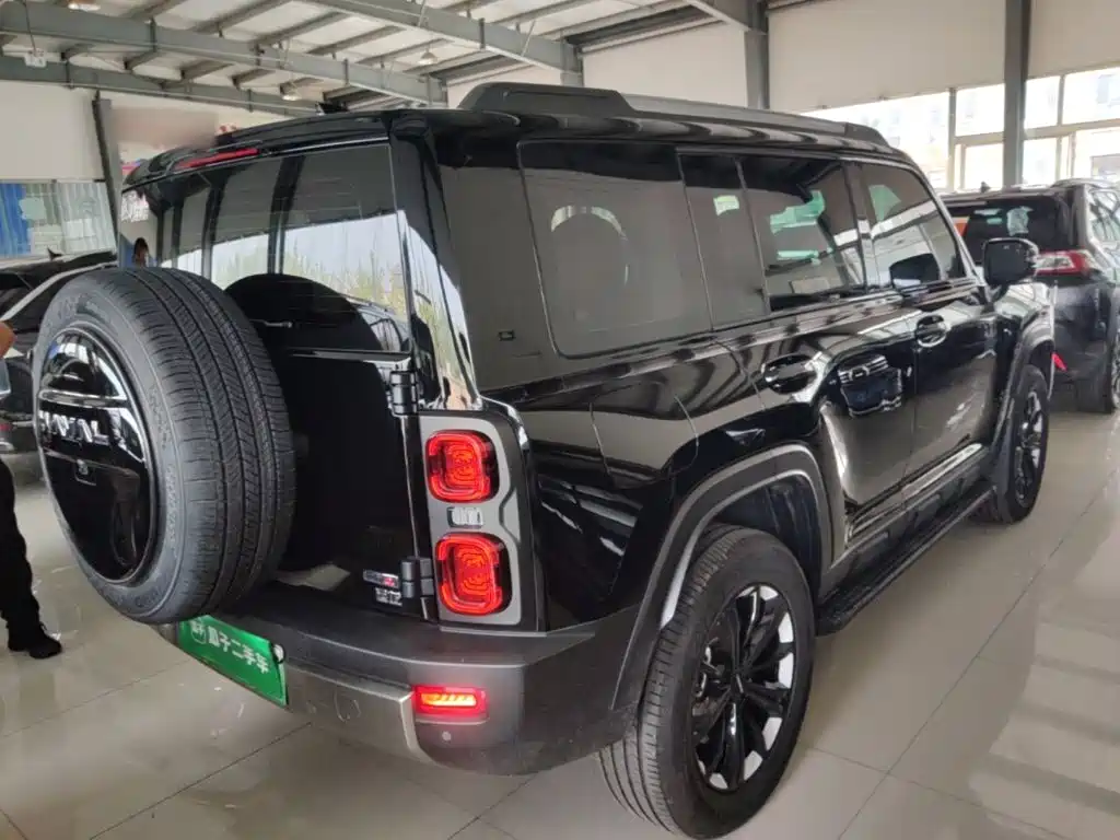Haval Menglong New Energy — миниатюра 7