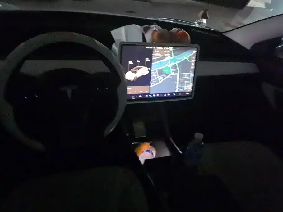 Tesla Model 3 — миниатюра 12