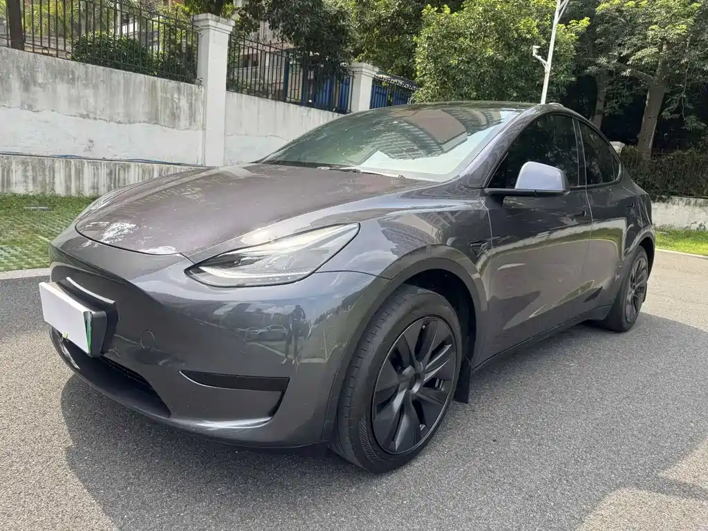 Tesla Model Y — миниатюра 3