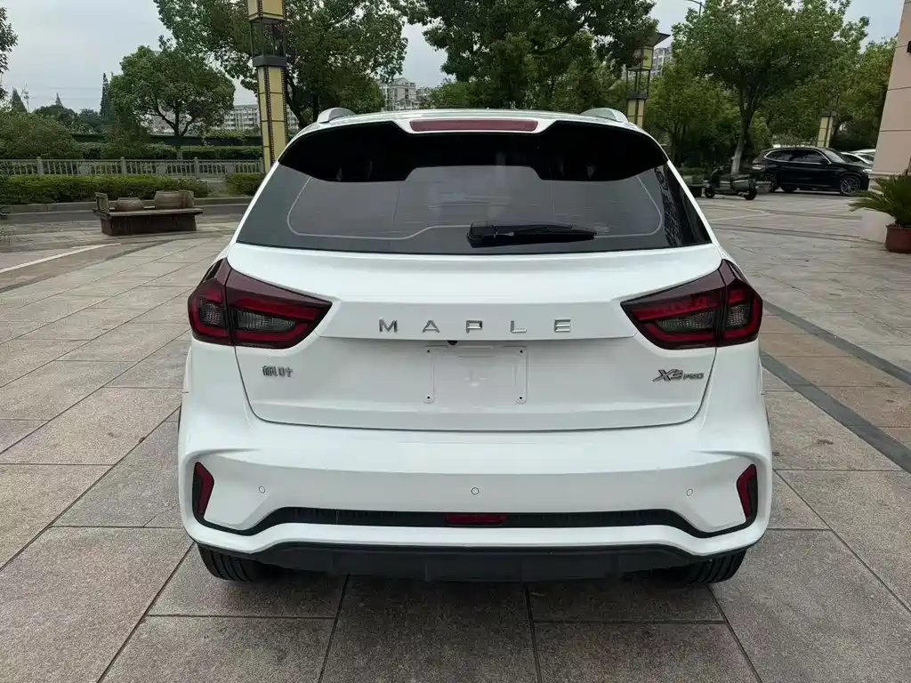 Rayleigh Ruilan X3 PRO — миниатюра 4