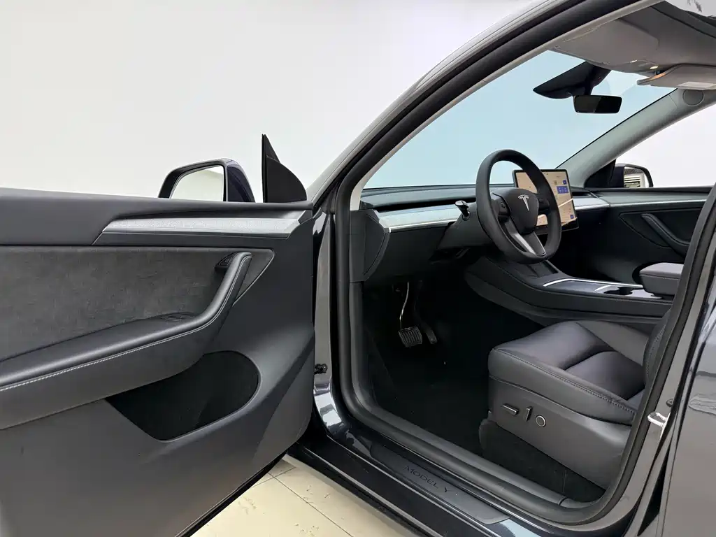 Tesla Model Y — миниатюра 6