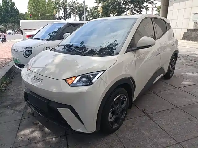 2025 BYD Seagull