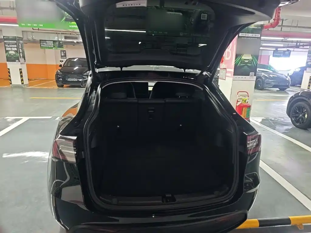 Tesla Model Y — миниатюра 19