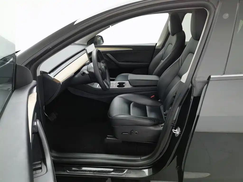 Tesla Model Y — миниатюра 10