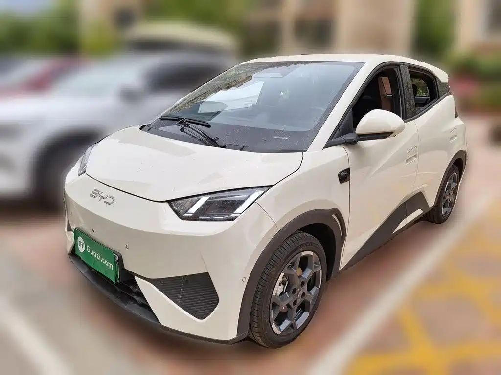 BYD Seagull 2025 Smart Drive 305km Freedom