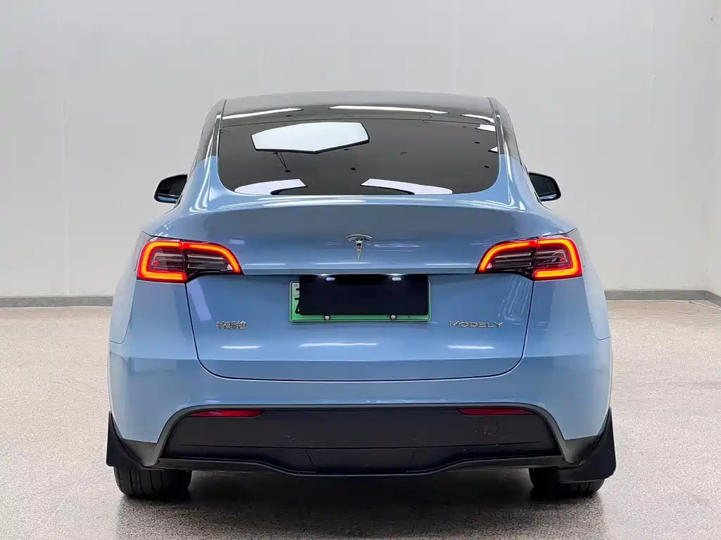 Tesla Model Y — миниатюра 5