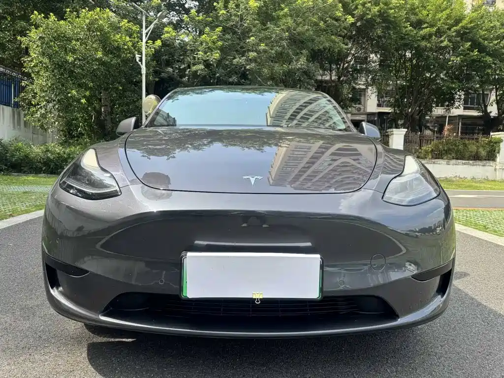 Tesla Model Y — миниатюра 2