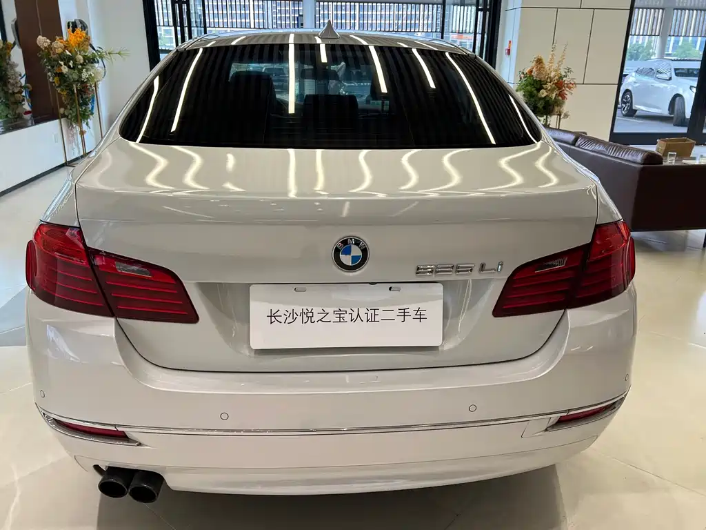 BMW 5 Series — миниатюра 5
