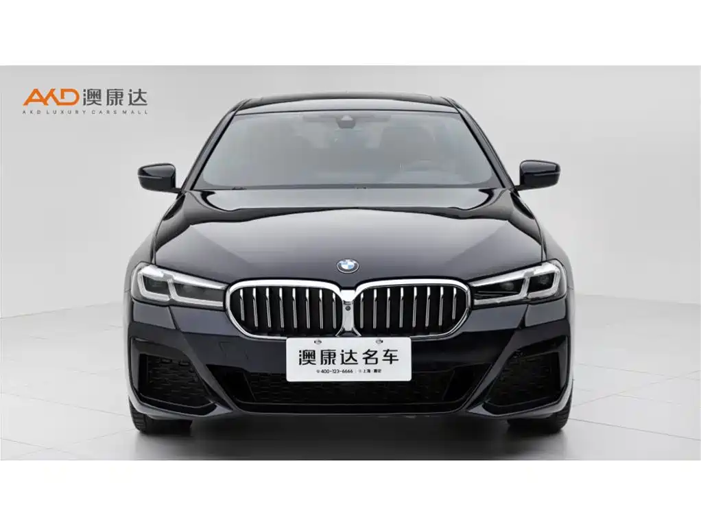 BMW 5 Series 5 2021 530Li Premium M Sport
