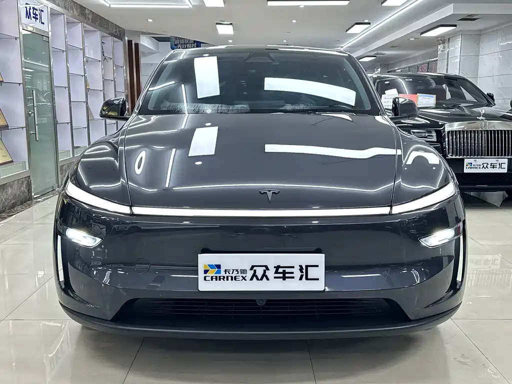 Tesla Model Y — миниатюра 2