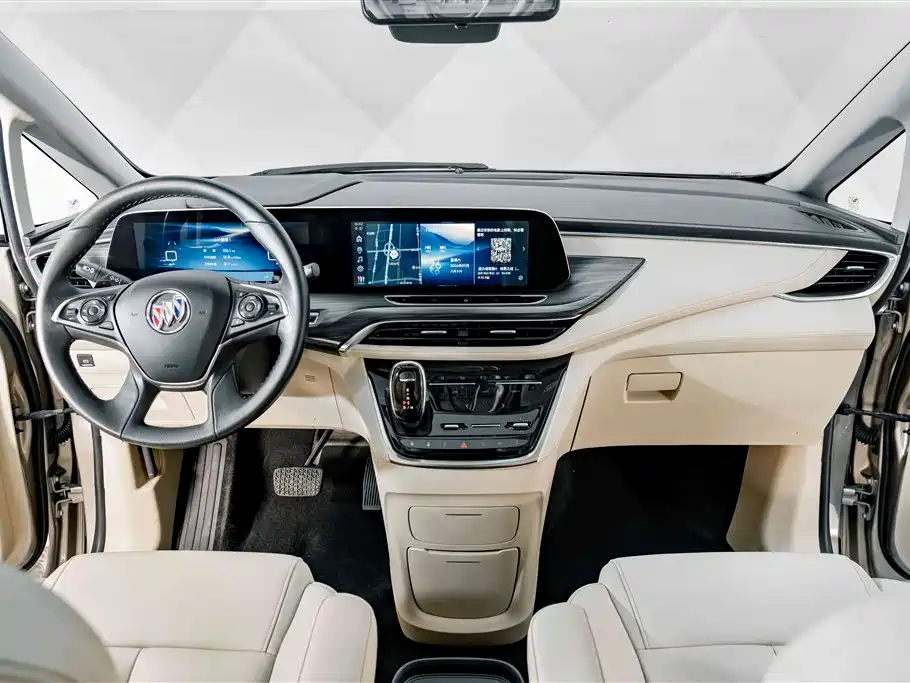 Buick GL8 — миниатюра 10