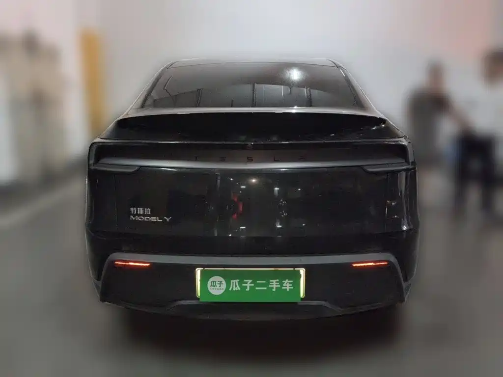 Tesla Model Y — миниатюра 3