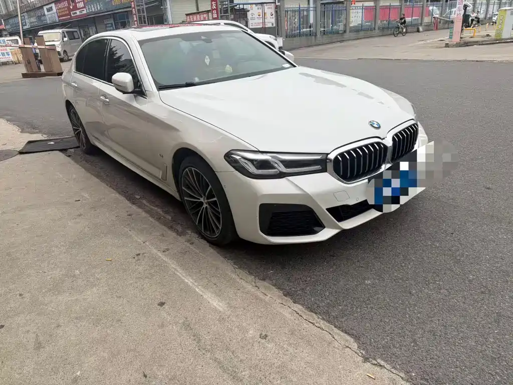 BMW 5 Series — миниатюра 3