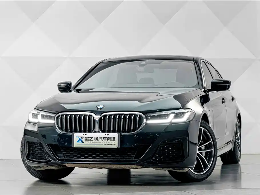 BMW 5 Series New Energy — миниатюра 2