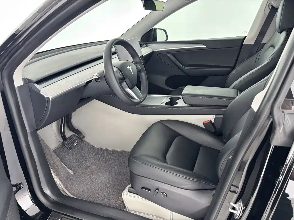 Tesla Model Y — миниатюра 6