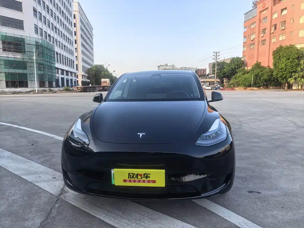 Tesla Model Y — миниатюра 2