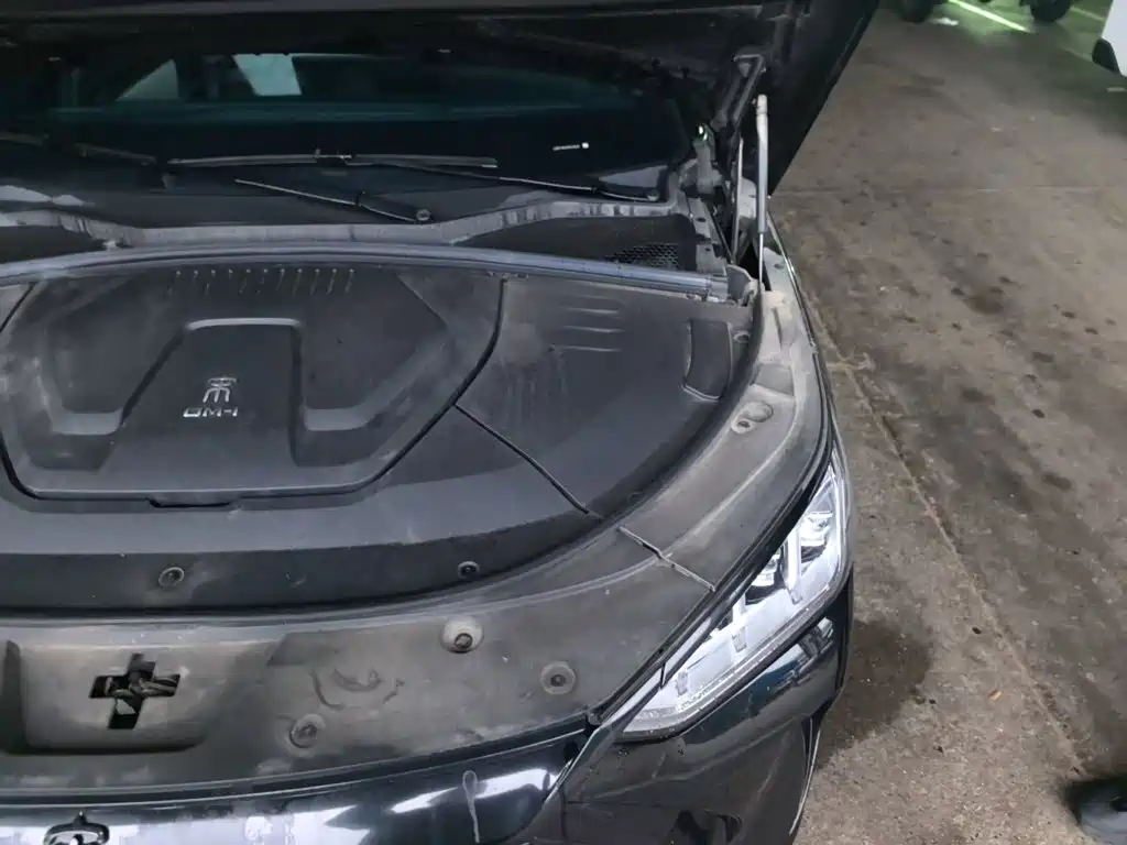 BYD PLUS New Energy — миниатюра 22