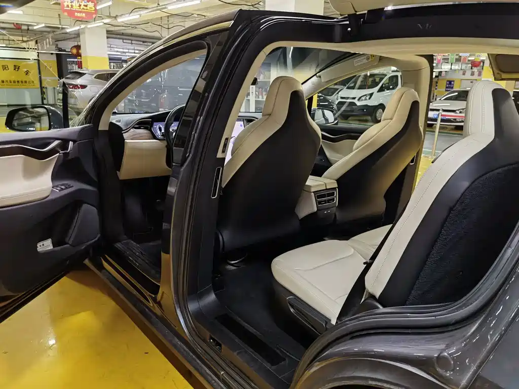 Tesla Model X — миниатюра 11