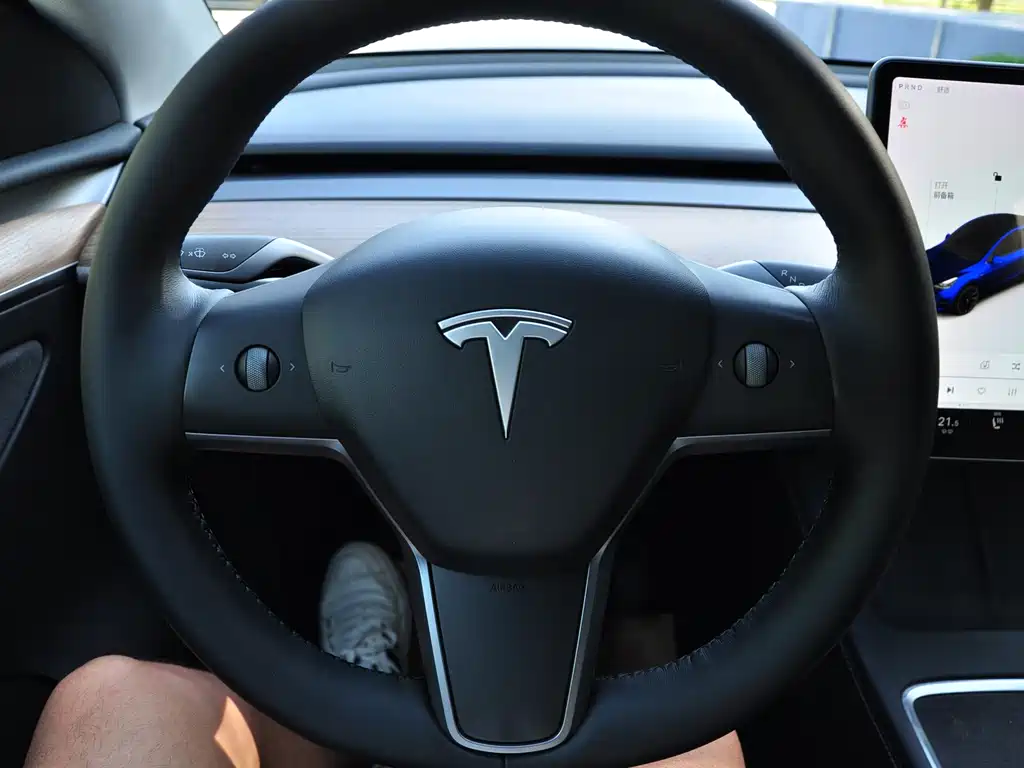 Tesla Model Y — миниатюра 8