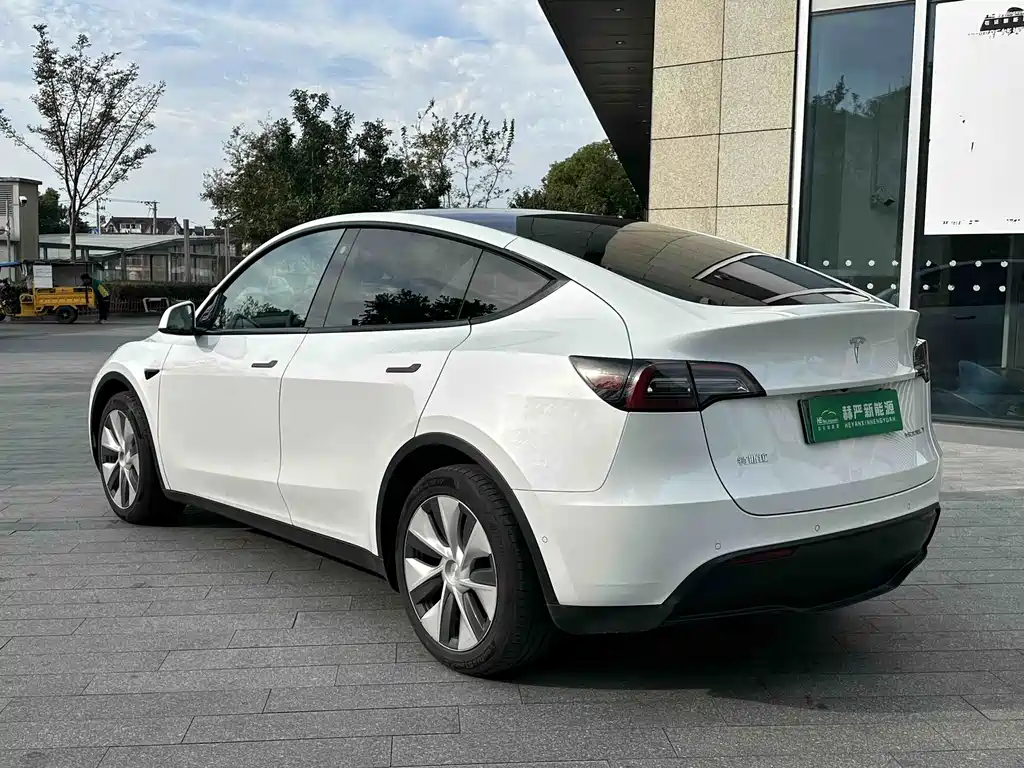 Tesla Model Y — миниатюра 7