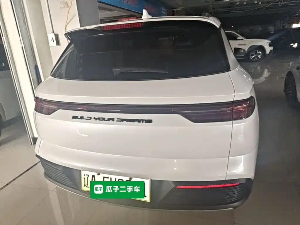 BYD Pro New Energy — миниатюра 6