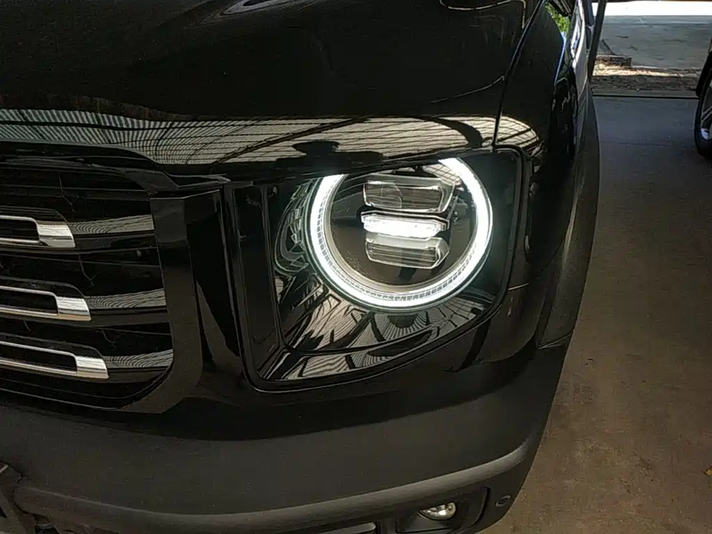 Haval Big Dog — миниатюра 24