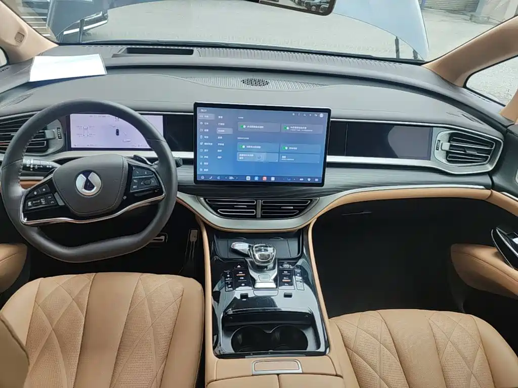Denza Denza D9 — миниатюра 10
