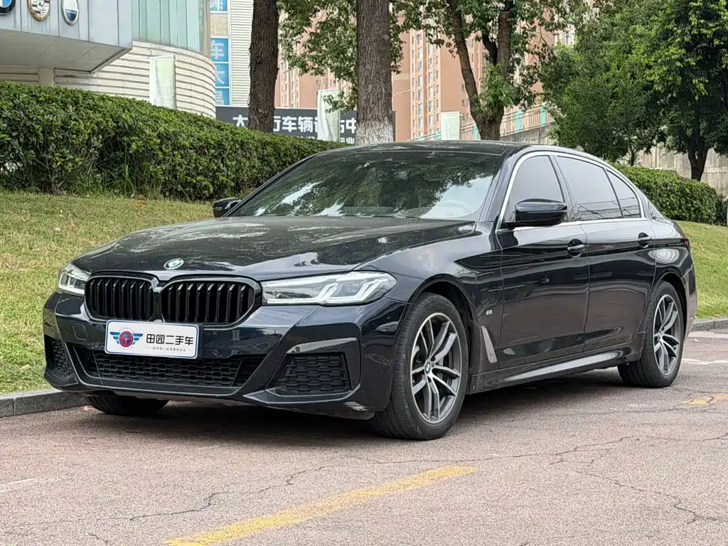 BMW 5 Series New Energy