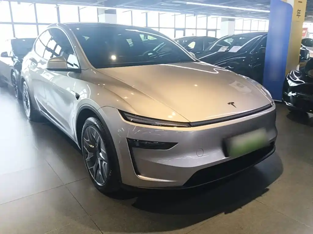Tesla Model Y L — миниатюра 4