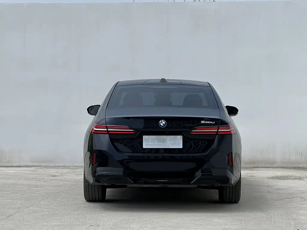 BMW 5 Series — миниатюра 4