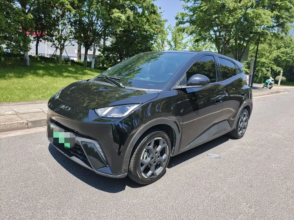 Byd Seagull 2024