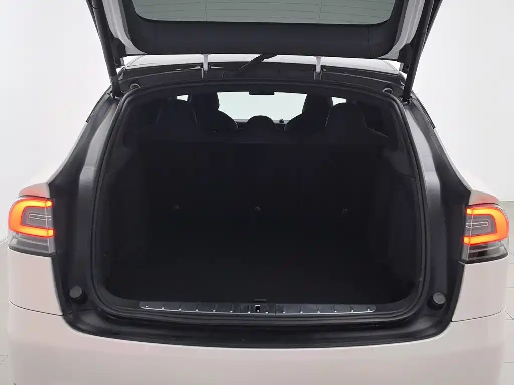 Tesla Model X — миниатюра 16