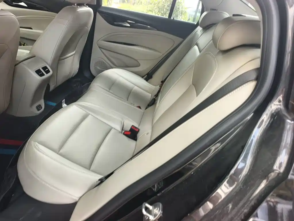 Buick Regal — миниатюра 14