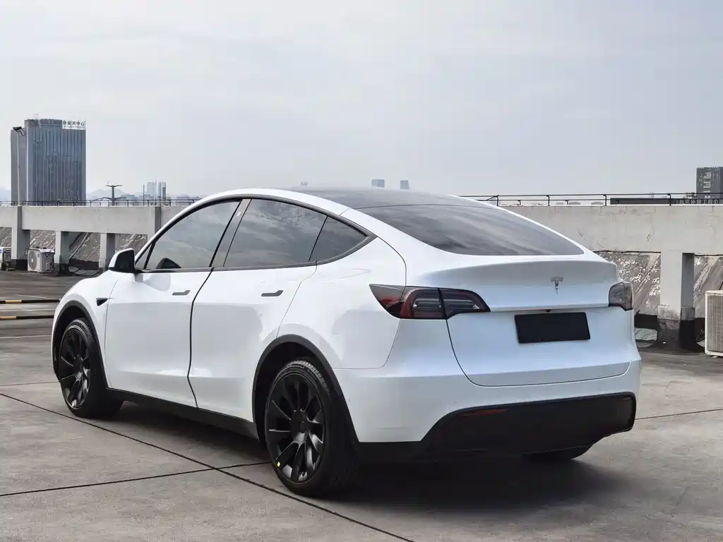 Tesla Model Y — миниатюра 7