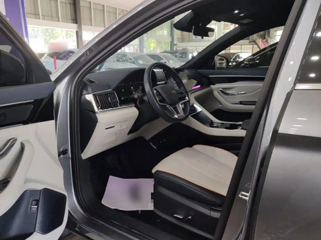 BYD PLUS New Energy — миниатюра 16