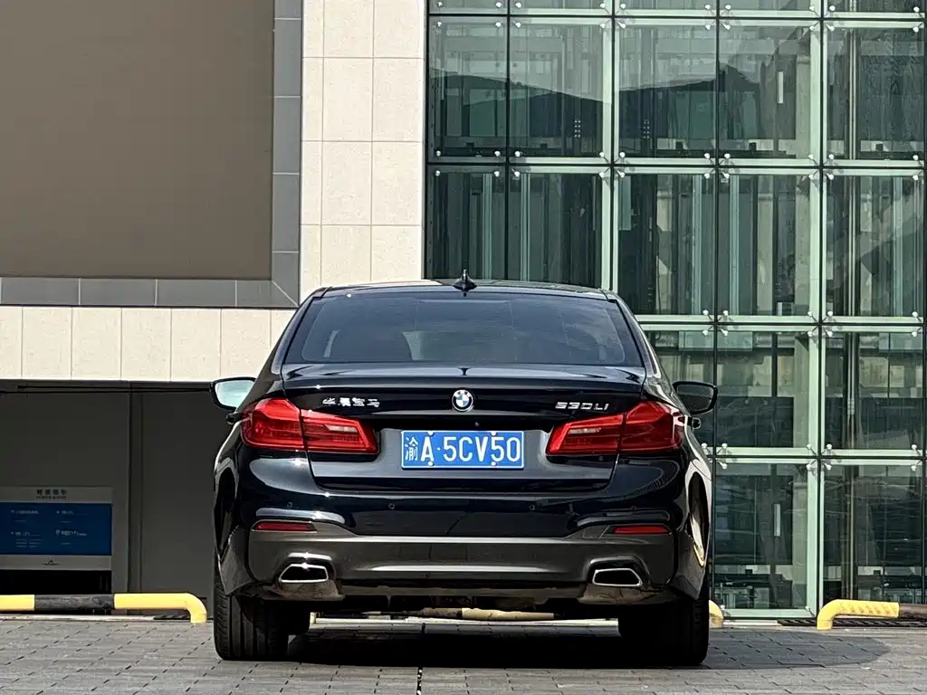 BMW 5 Series — миниатюра 5