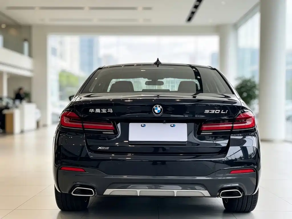 BMW 5 Series — миниатюра 4