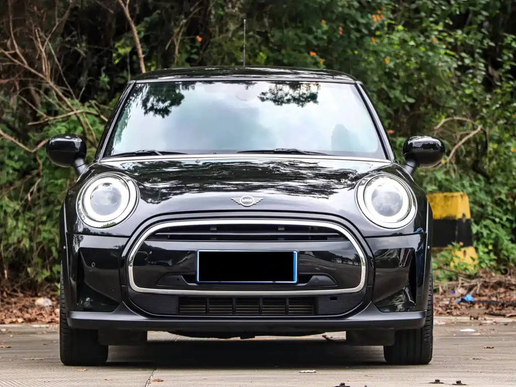 MINI Mini — миниатюра 2