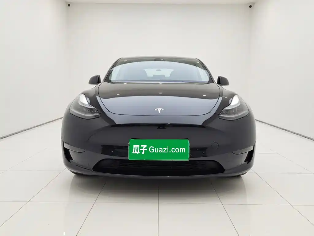 Tesla Model Y — миниатюра 2