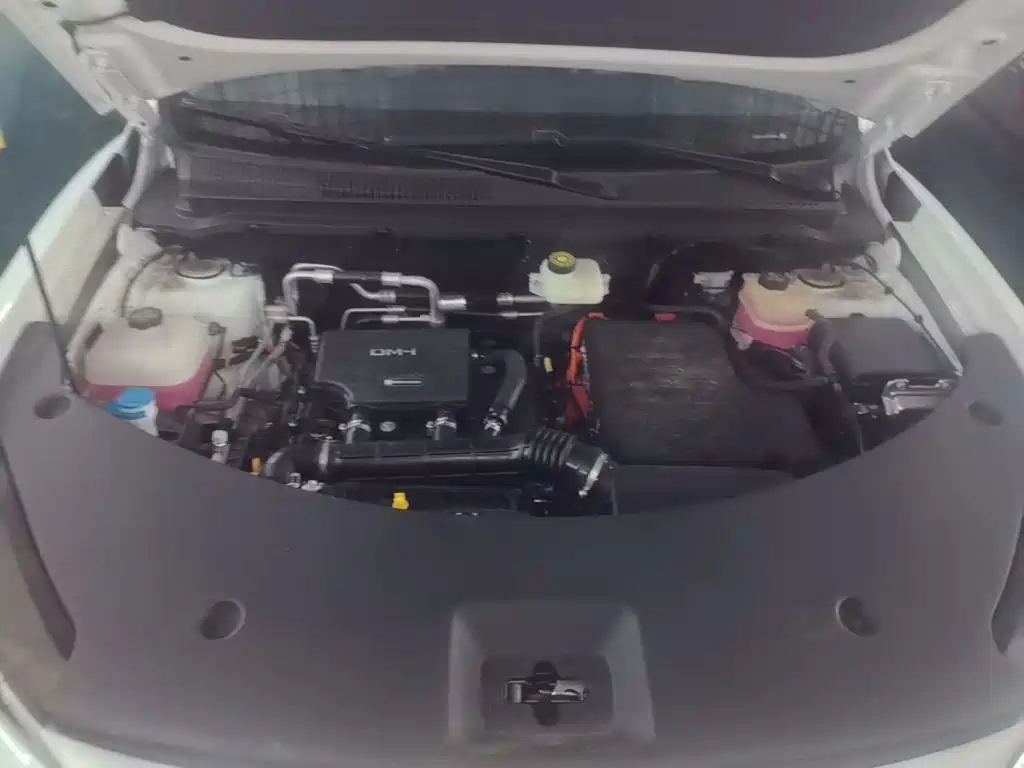 BYD Pro New Energy — миниатюра 20