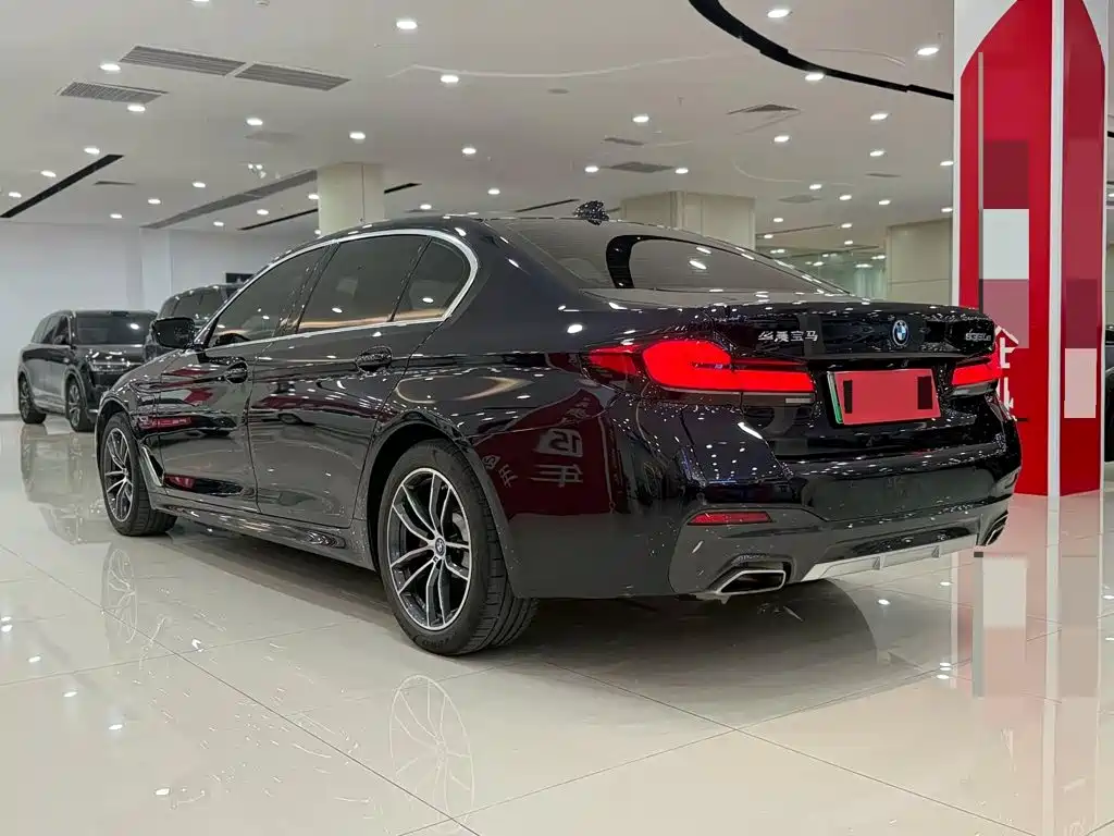 BMW 5 Series New Energy — миниатюра 13