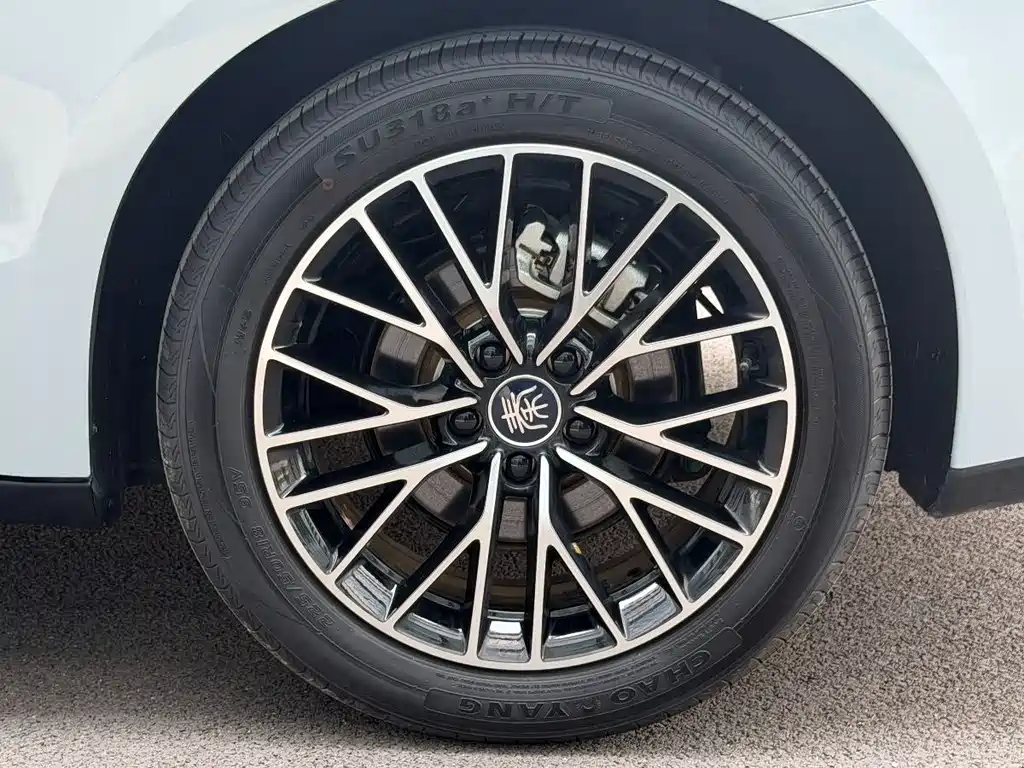 BYD Qin L L 2024 DM-i 120KM