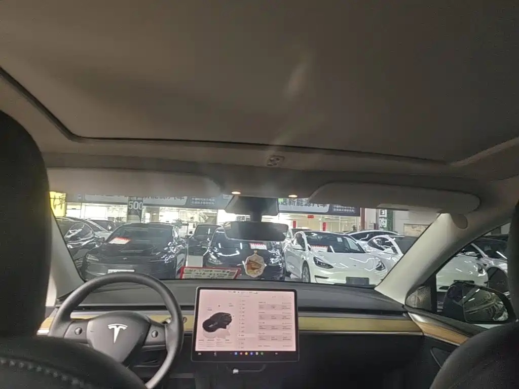 Tesla Model Y — миниатюра 18