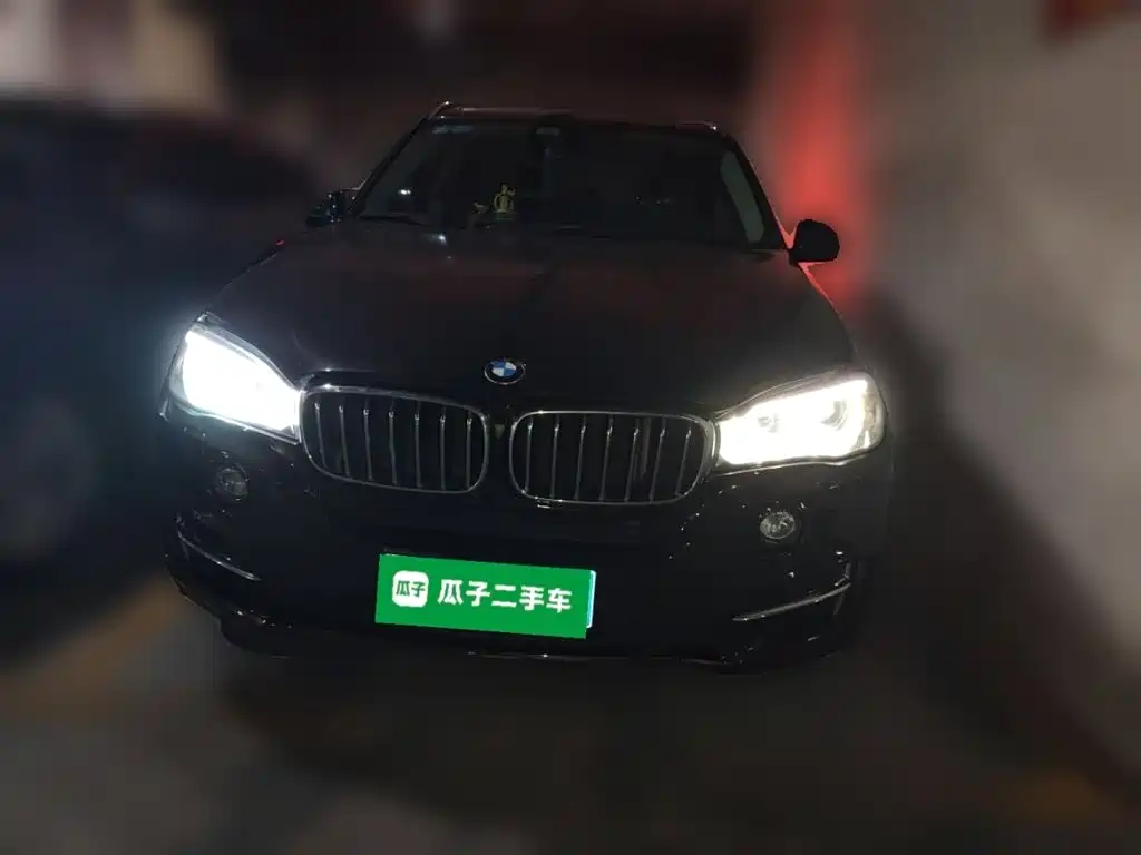 BMW X5 (Import) — миниатюра 2