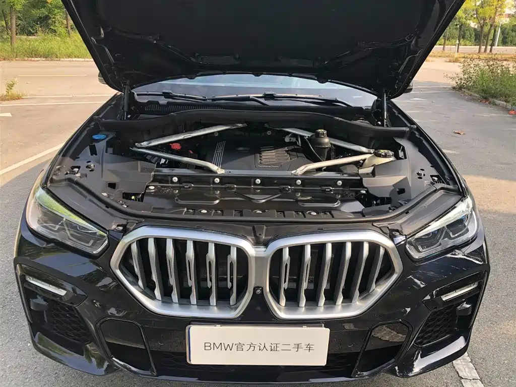 BMW X6 — миниатюра 14